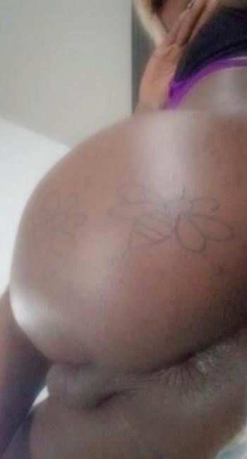 6622430337, transgender escort, Jackson